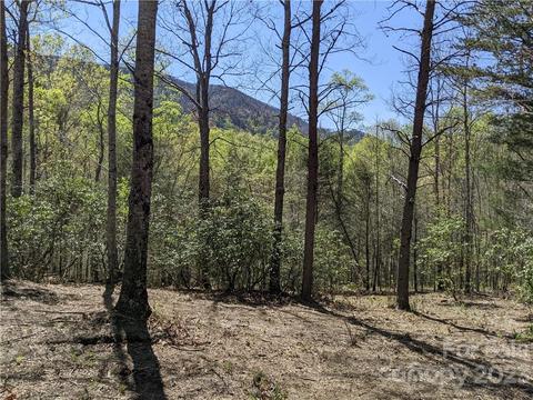 C28 Nuthatch C28 Lane #C28, Black Mountain, NC 28711