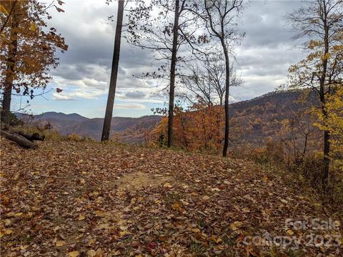 473 Kestrel C31 Ln #C31, Black Mountain, NC 28711