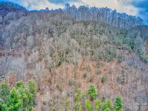 52 Kates Meadow Ln, Clyde, NC 28721 photo 14