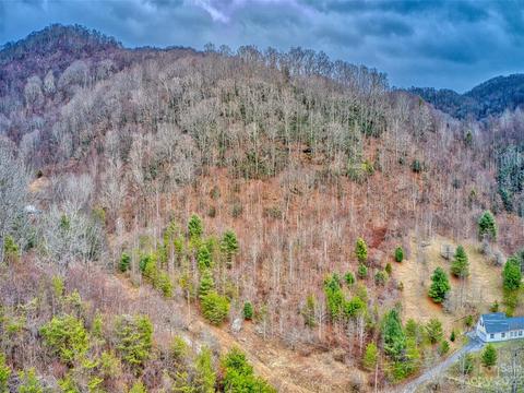 52 Kates Meadow Ln, Clyde, NC 28721 photo 9