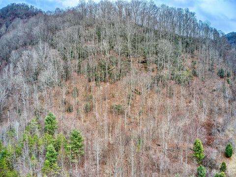 52 Kates Meadow Ln, Clyde, NC 28721 photo 10