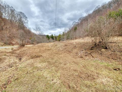 52 Kates Meadow Ln, Clyde, NC 28721 photo 2