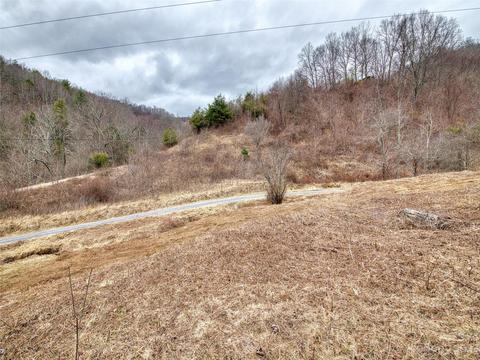 52 Kates Meadow Ln, Clyde, NC 28721 photo 5