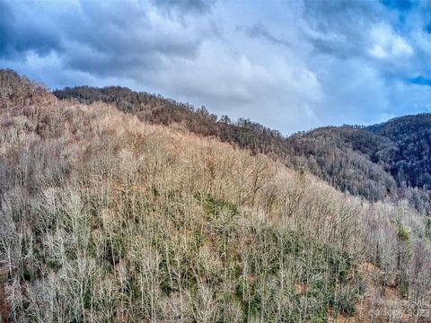 52 Kates Meadow Ln, Clyde, NC 28721 photo 11