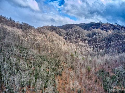 52 Kates Meadow Ln, Clyde, NC 28721 photo 13