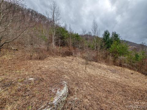 52 Kates Meadow Ln, Clyde, NC 28721 photo 6
