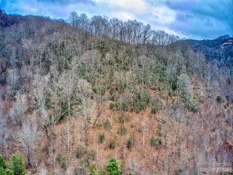 52 Kates Meadow Ln, Clyde, NC 28721 photo 15