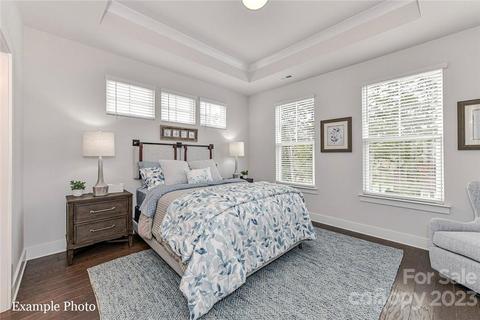 1029 Naples 33 Dr #33, Davidson, NC 28036 photo 6