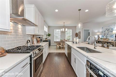 1029 Naples 33 Dr #33, Davidson, NC 28036