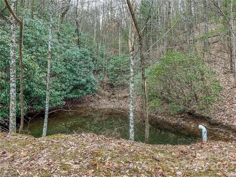 1481 Summit Ridge Rd, Purlear, NC 28665 photo 39