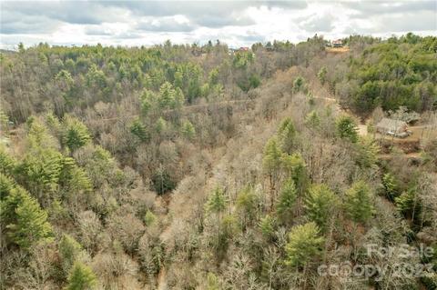 1481 Summit Ridge Rd, Purlear, NC 28665 photo 6