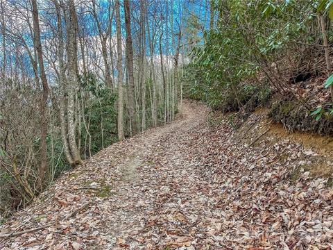 1481 Summit Ridge Rd, Purlear, NC 28665 photo 46