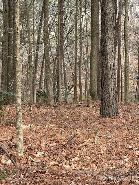 00 Rosa Dr, Monroe, NC 28112 photo 15