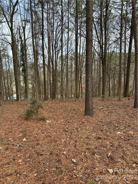 00 Rosa Dr, Monroe, NC 28112 photo 16