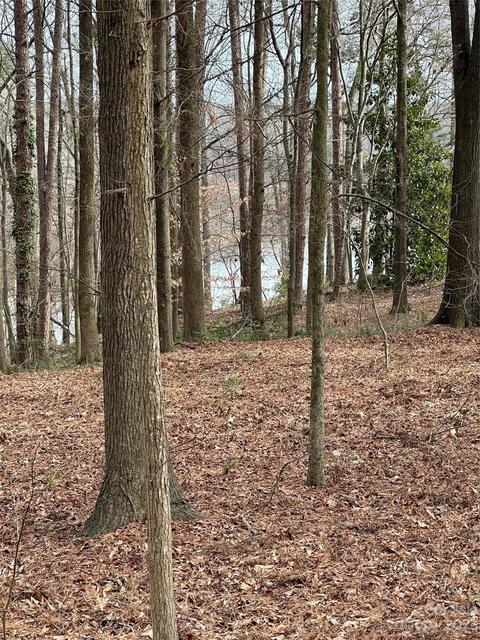 00 Rosa Dr, Monroe, NC 28112 photo 20