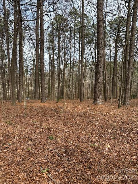 00 Rosa Dr, Monroe, NC 28112 photo 19