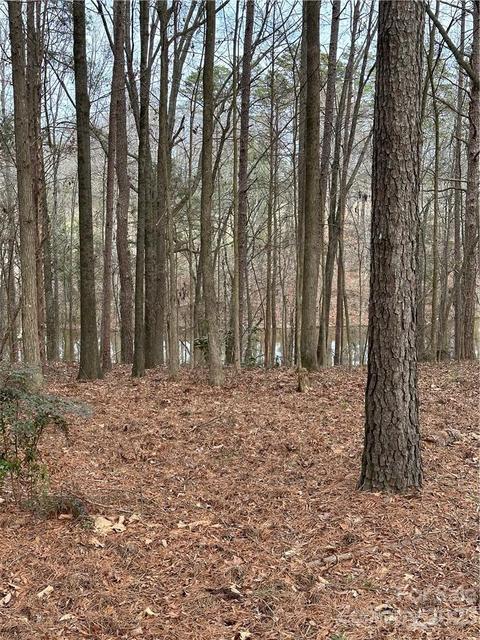 00 Rosa Dr, Monroe, NC 28112 photo 18