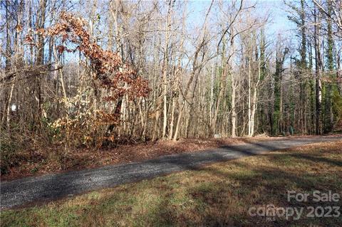 219 E Constance St, Columbus, NC 28722 photo 28
