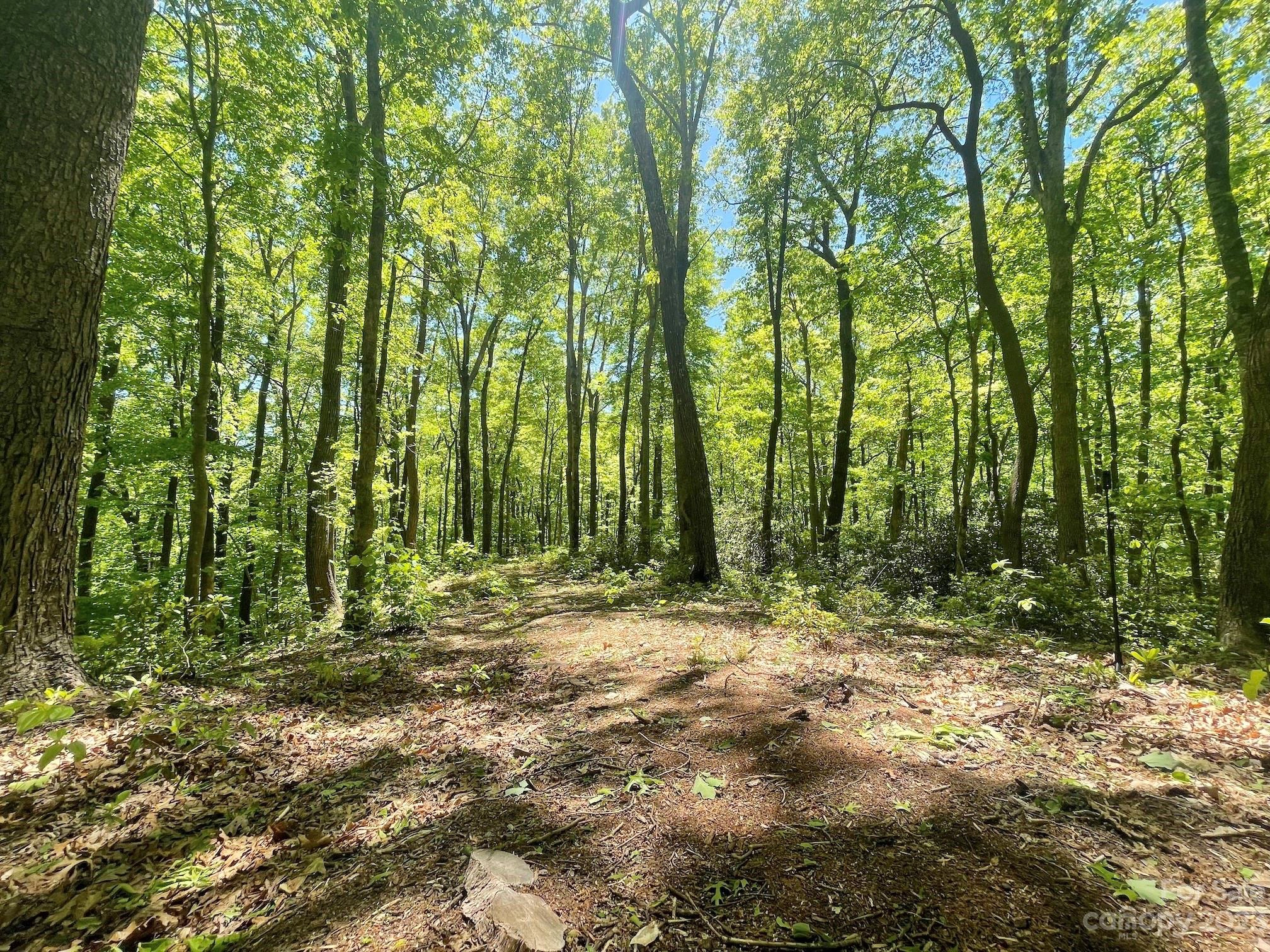 Ironwood T-100 Ln Unit T-100  