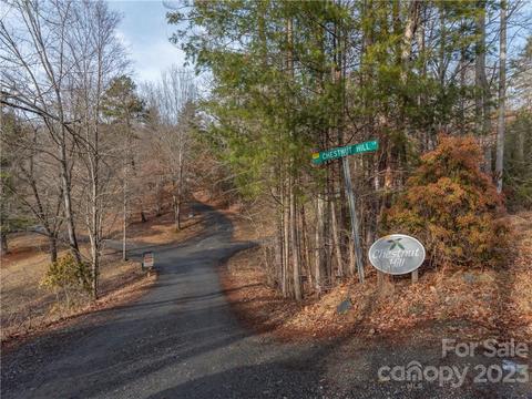 175 Red Oak Ln, Marshall, NC 28753 photo 33