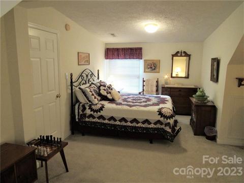 55 Harmon Cv, Clyde, NC 28721 photo 24