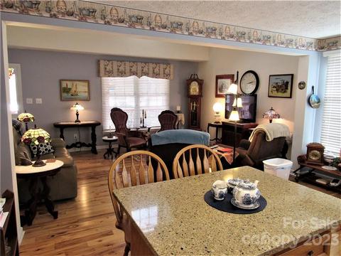 55 Harmon Cv, Clyde, NC 28721 photo 7