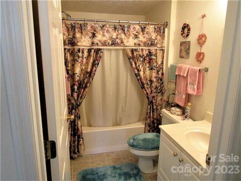 55 Harmon Cv, Clyde, NC 28721 photo 28