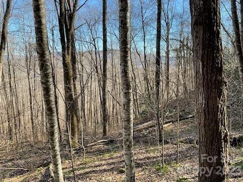 00 Songbird 16 Trl #16, Waynesville, NC 28785