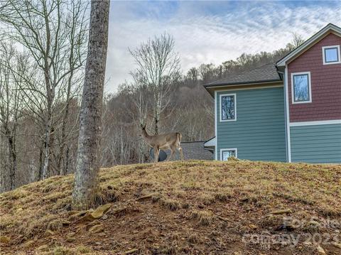 174 Olivia Loop, Mars Hill, NC 28754 photo 4
