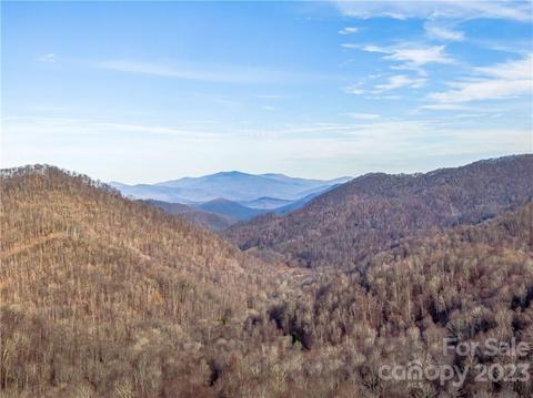 174 Olivia Loop, Mars Hill, NC 28754 photo 3