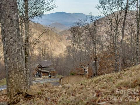 174 Olivia Loop, Mars Hill, NC 28754 photo 9