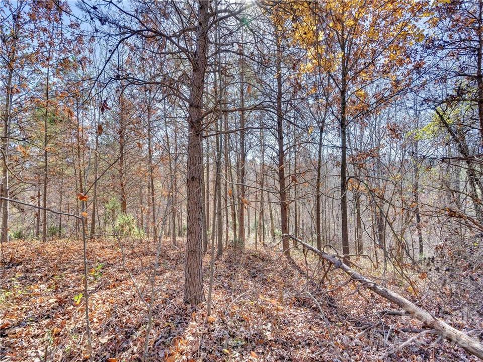  104 Cisco Ln, Forest City, NC 28043 photo 31