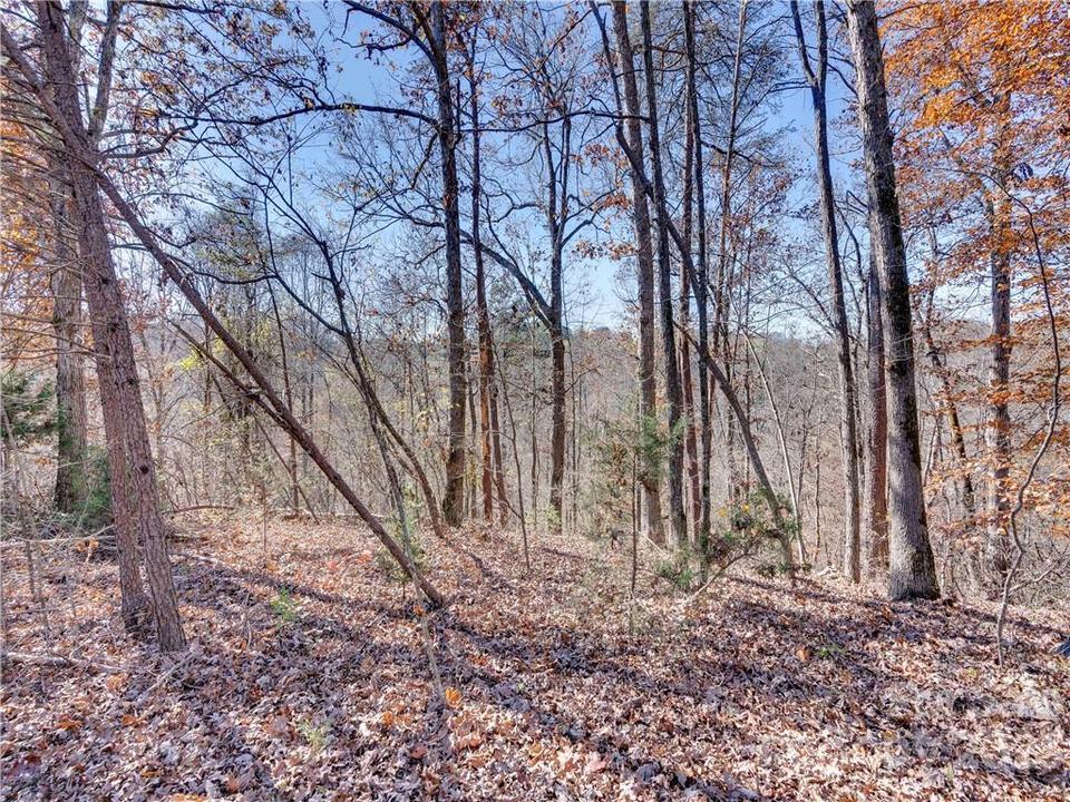  104 Cisco Ln, Forest City, NC 28043 photo 32