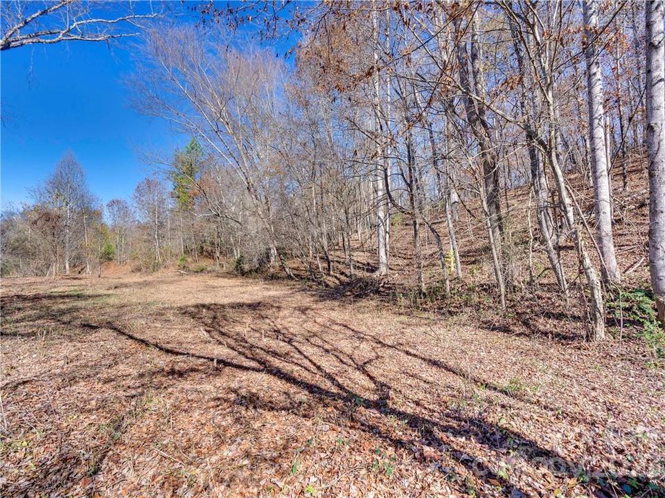  104 Cisco Ln, Forest City, NC 28043 photo 4