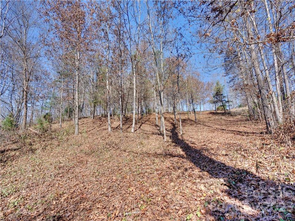  104 Cisco Ln, Forest City, NC 28043 photo 6