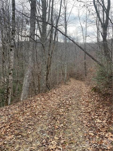 0 White Rock Rd, Cullowhee, NC 28723