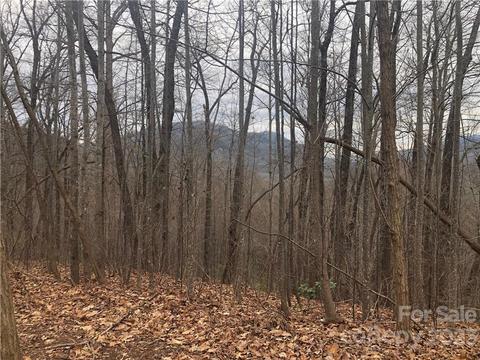 141 Tranquility Rdg, Lake Lure, NC 28746