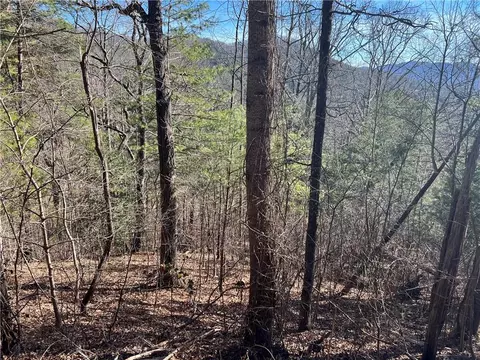 Vance Gap Road, Asheville, NC 28804