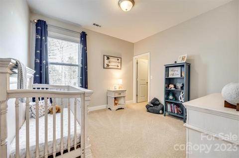579 Daventry Ct, Clover, SC 29710 photo 24