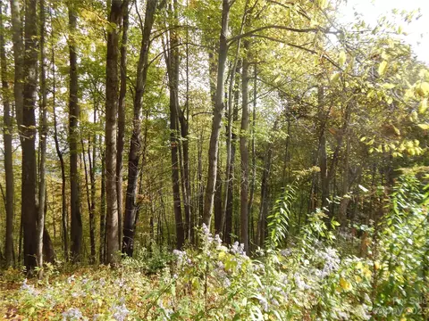 00 Kitty Ln, Waynesville, NC 28785