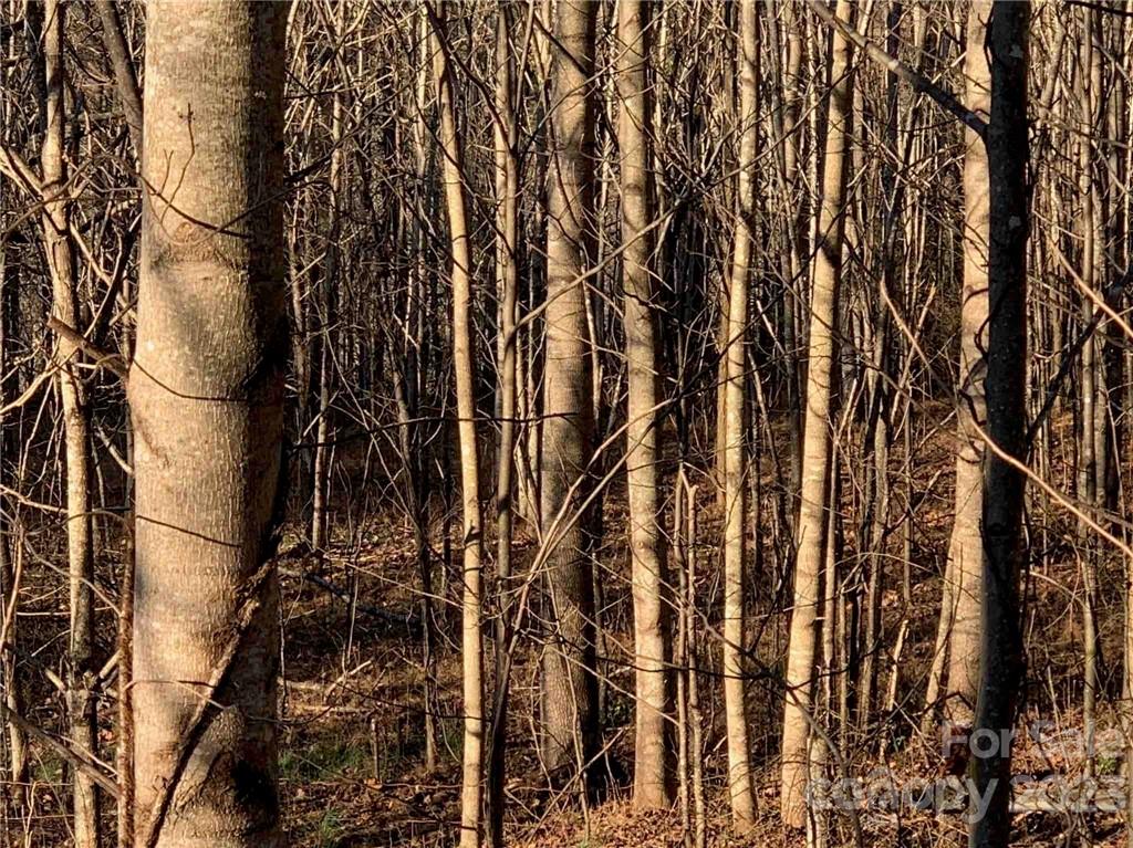 16 East Splitrail Dr Unit 16  