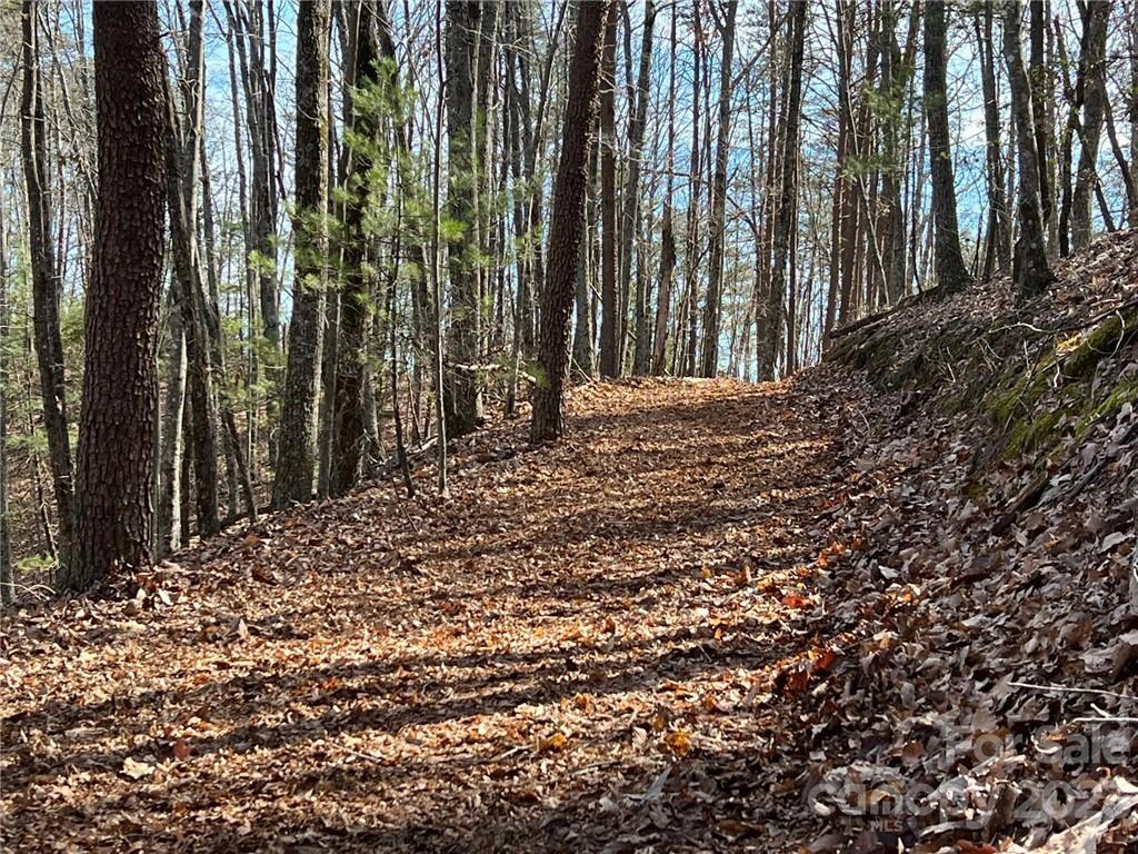 0 Taylorsville Tract 2 Rd Unit TRACT 2