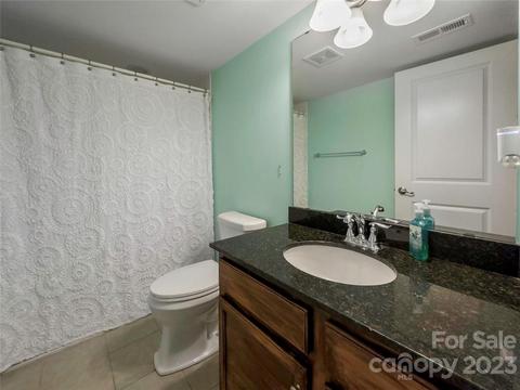 187 Chaska Loop, Troutman, NC 28166 photo 37