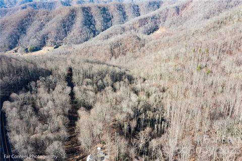 9999 Betsys Gap Rd, Clyde, NC 28721 photo 5