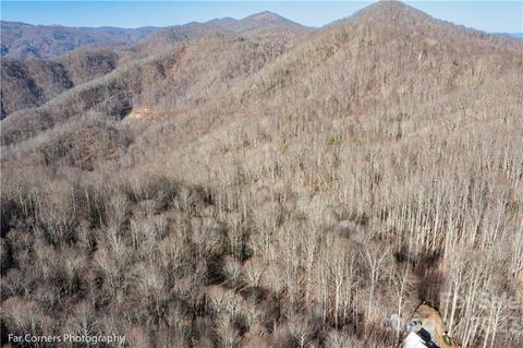 9999 Betsys Gap Rd, Clyde, NC 28721 photo 4
