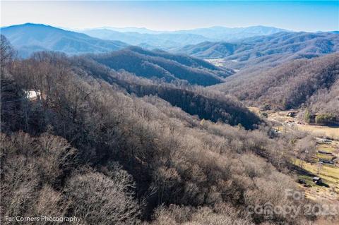 9999 Betsys Gap Rd, Clyde, NC 28721