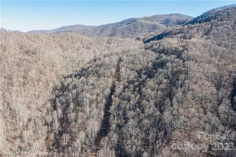 9999 Betsys Gap Rd, Clyde, NC 28721 photo 3