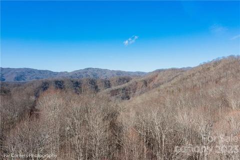 9999 Betsys Gap Rd, Clyde, NC 28721 photo 6
