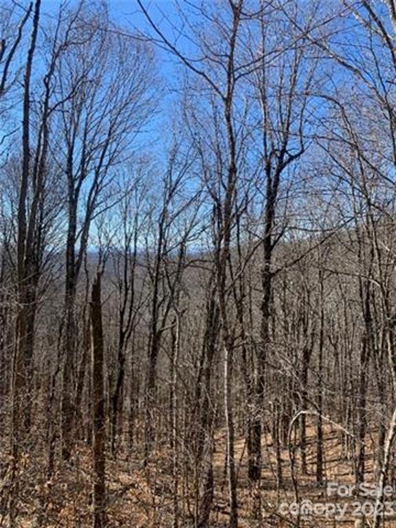 960 Oak Ridge Lane 61 Unit 61--A  