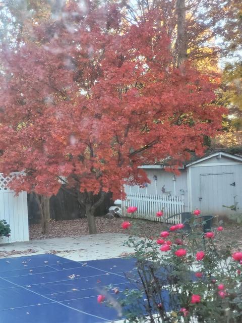 606 2nd Avenue Pl NE, Conover, NC 28613 photo 30